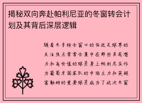 揭秘双向奔赴帕利尼亚的冬窗转会计划及其背后深层逻辑
