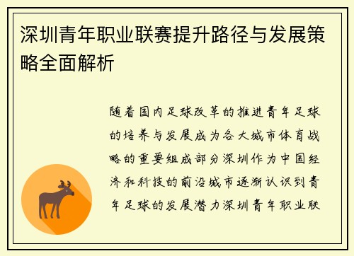 深圳青年职业联赛提升路径与发展策略全面解析